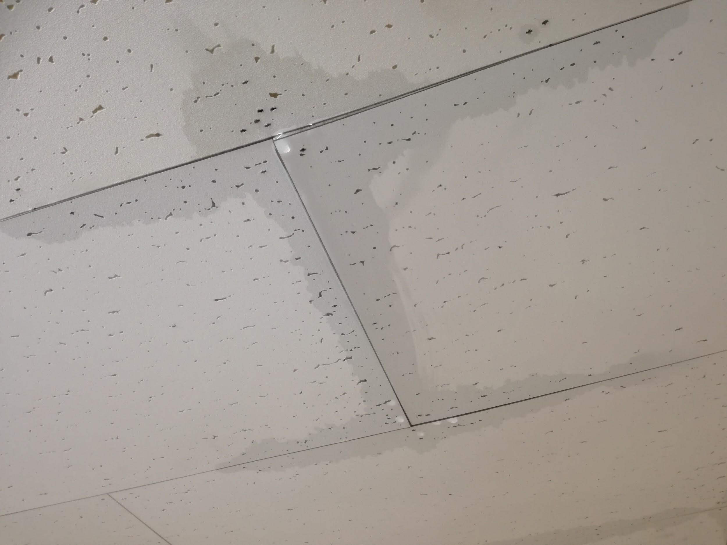 天井の雨漏り発生！４つの発生原因とDIY修理法を完全公開！